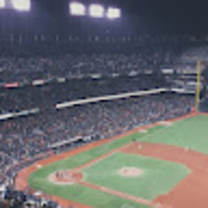 Meet your Posher, Shane